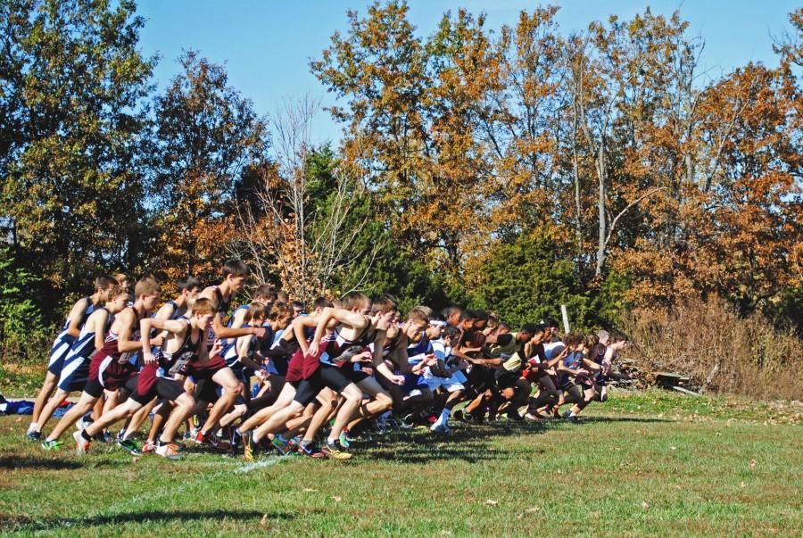 Cross+Country+Season+Wrap-Up