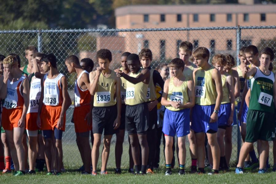 Cross Country Runners Stride into State