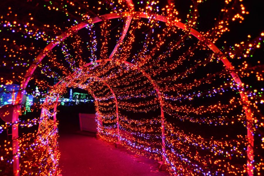 Festive light shows brighten holidays