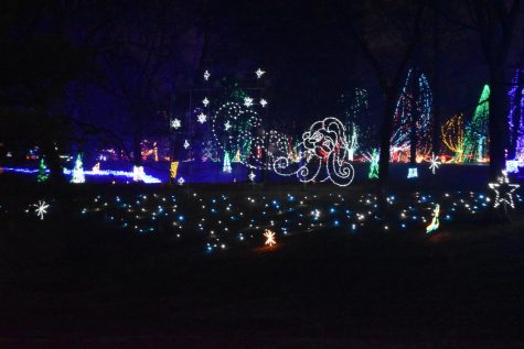 Holiday lights sparkle in Tilles Park